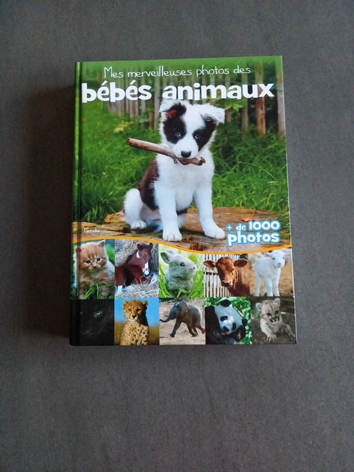 6f90e698-95da-430d-b4c2-fb7b332b460a