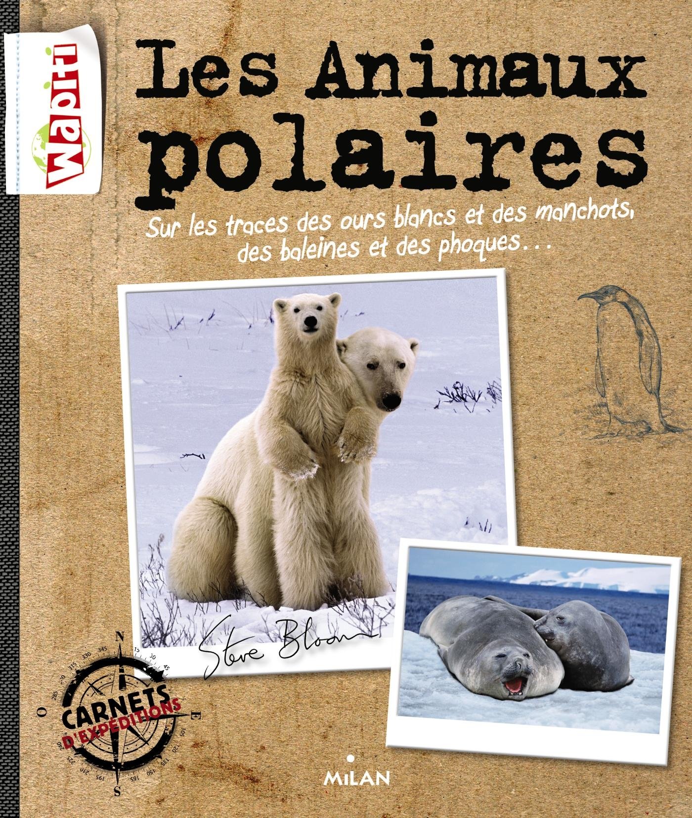 les_animaux_polaires