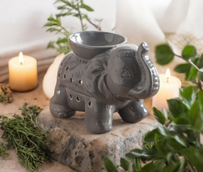 screenshot_2025-01-12_at_19-43-43_fournisseur_brule_parfum_elephant_tandor_gris_zenarome