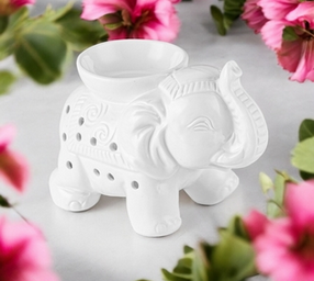 screenshot_2025-01-12_at_19-48-22_fabricant_brule_parfum_elephant_tandor_blanc_zenarome