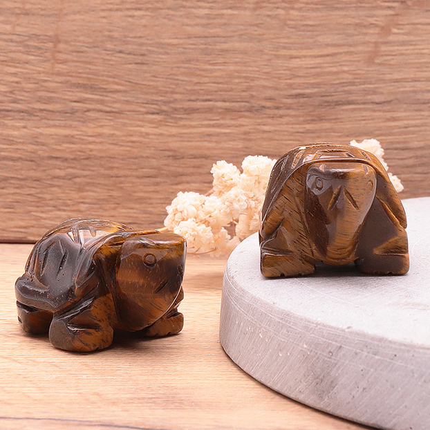 screenshot_2025-12-31_at_16-02-15_tortue_50mm_oeil_de_tigre_a_lot_2_pieces